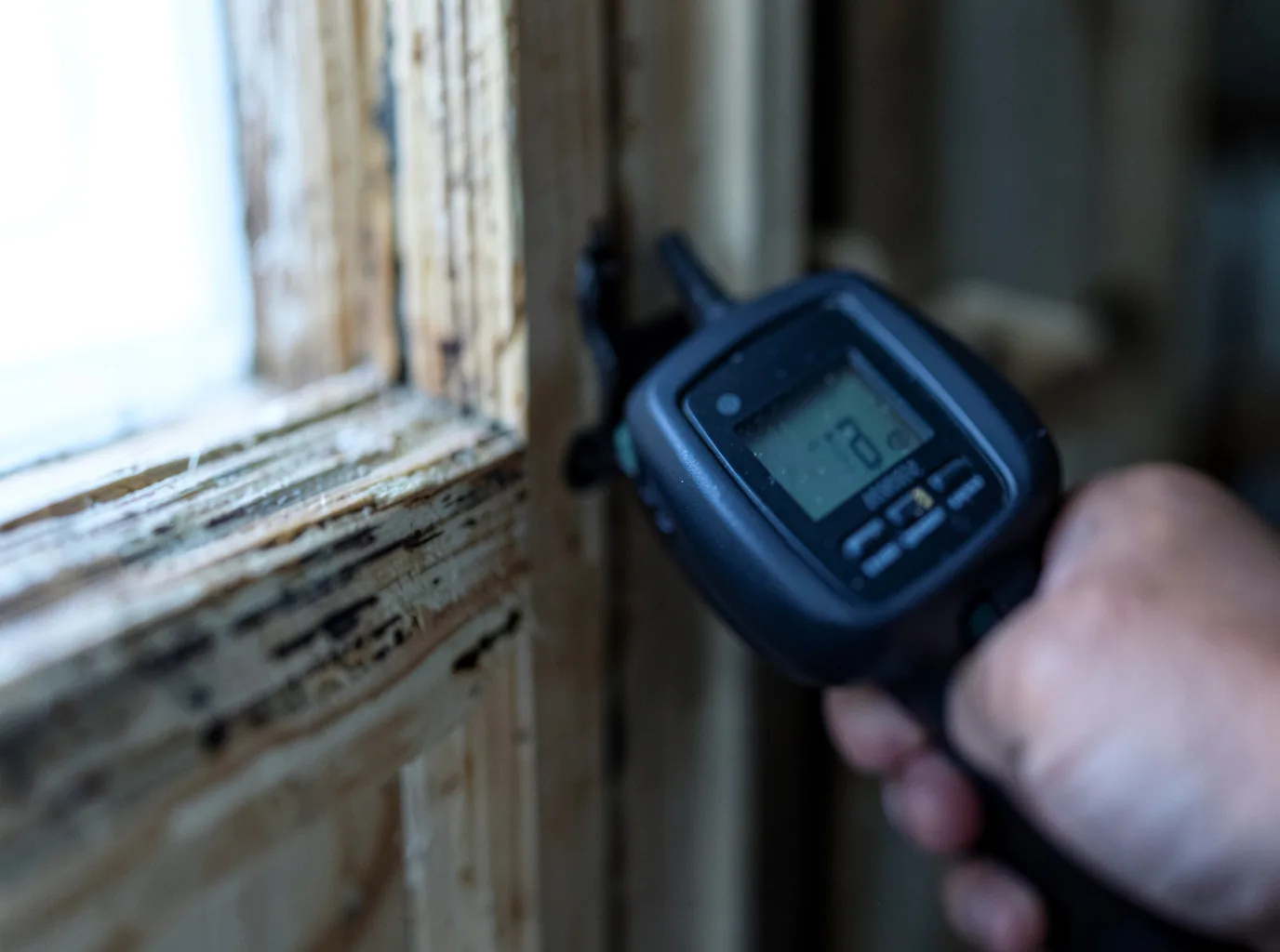 Moisture Inspection And Documentation in Nacogdoches, TX